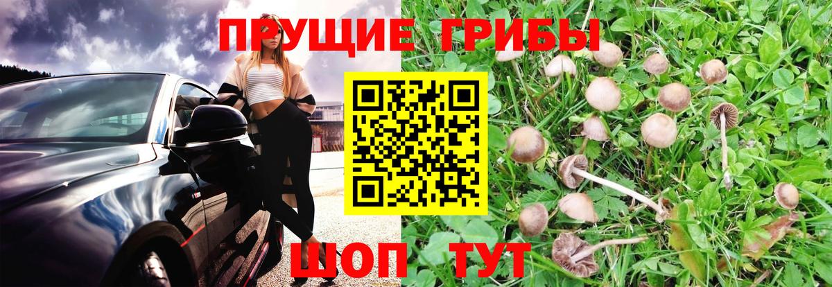 Галлюциногенные грибы ЛСД  Галлюциногенные грибы мицелий  Вход с VPN  Унеча 